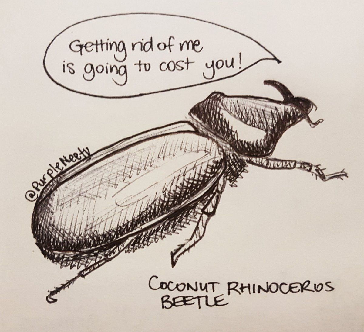sciplant17's tweet photo. For those who may have missed it, PBCRC research coordinator Juanita's artistic interpretation of #sciplant17. Enjoy https://t.co/gqFeyBMnz4 https://t.co/nFEfhh5HLo