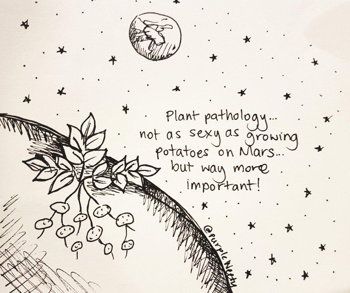 For those who may have missed it, PBCRC research coordinator Juanita's artistic interpretation of #sciplant17. Enjoy buff.ly/2xj4lmp
