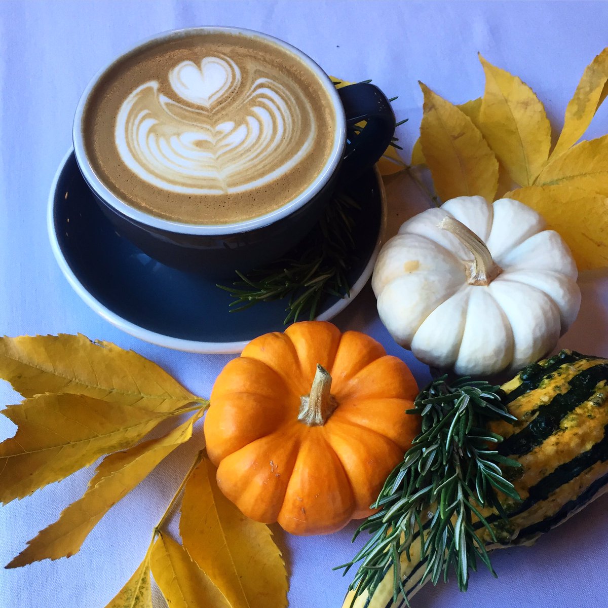 PSL? Nope. Here at Sterling we're all about our MRL: bourbon barrel aged Vermont maple syrup infused with organic rosemary!