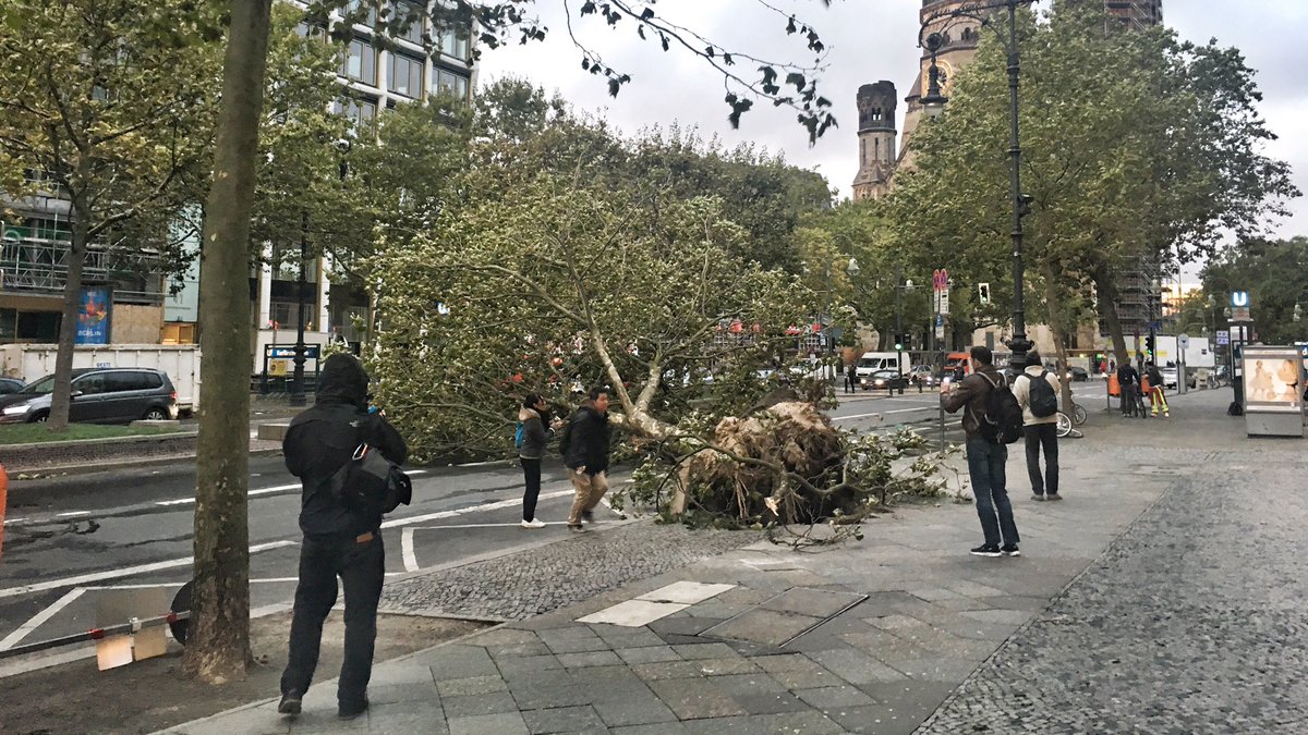 DPTomKeller's tweet photo. #Xavier hit hard yesterday. After shooting the last days in Switzerland I prep for next weeks shoot in #Berlin. #CapelliCode. https://t.co/UBtwoKKN3j