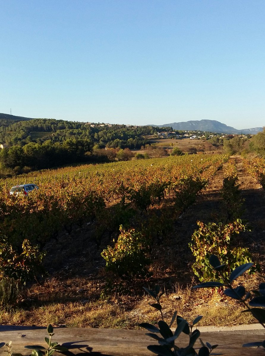comte_so's tweet image. Tasting day....belle rencontre au domaine "le Chemin des rêves" sous la surveillance du Pic Saint Loup 🙄👍🍷