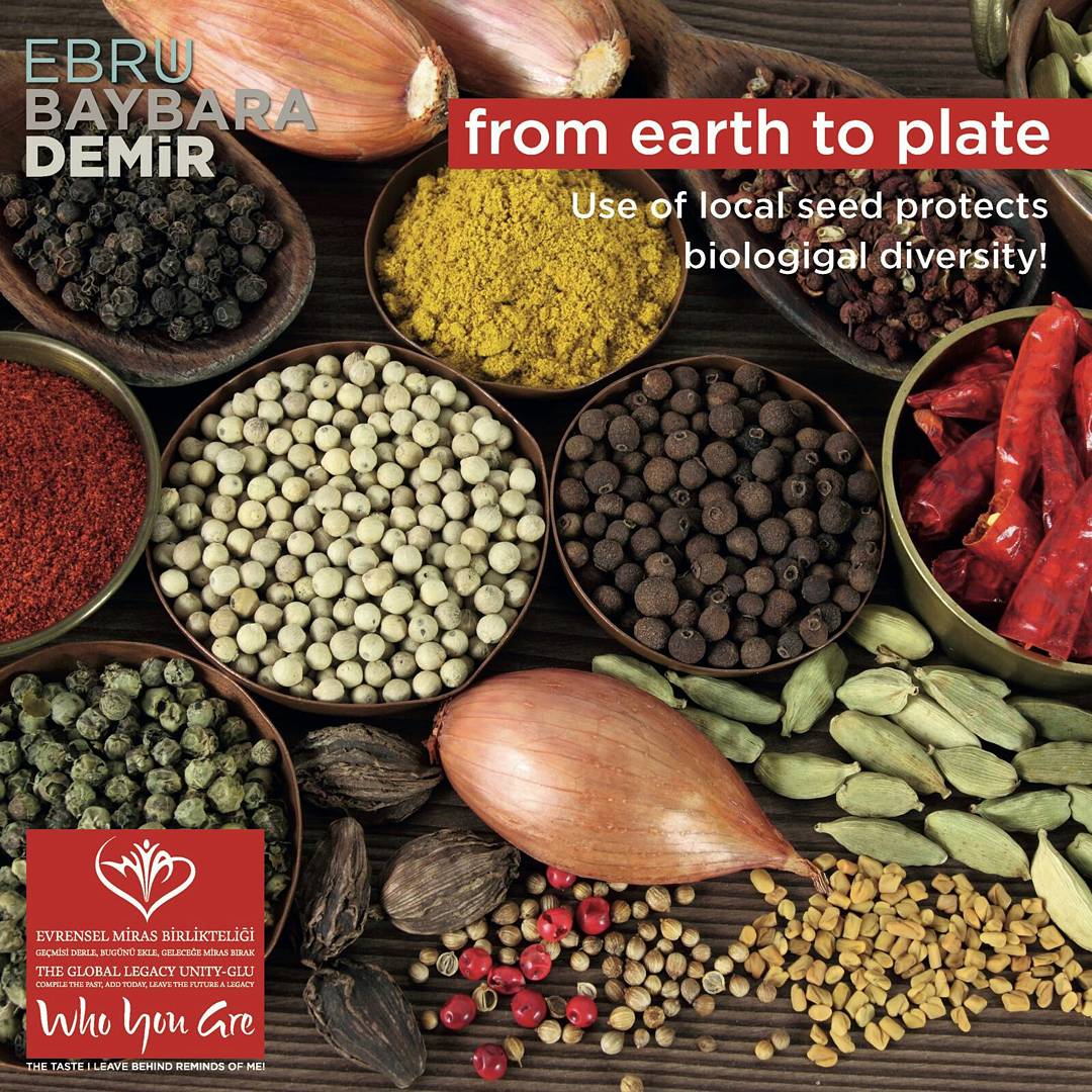 cercismurat's tweet photo. Pesticides and non-organic seeds have been proven to be harmful to the soil.
#ChefEbruBaybaraDemir #Soilplate #localseed #Mardin https://t.co/UPTIytKt5P