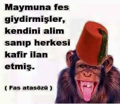 توییتر \ Üstad Kadir Mısıroğlu در توییتر: «Küfür-Bâtıl ehlinin düşmanlığı  hepimiz için Allah katında rahmettir. Elhamdülillah. Ebubekir hocaya  teşekkürler. -Sayfa İdâresi- https://t.co/HdNLEKPrZq»