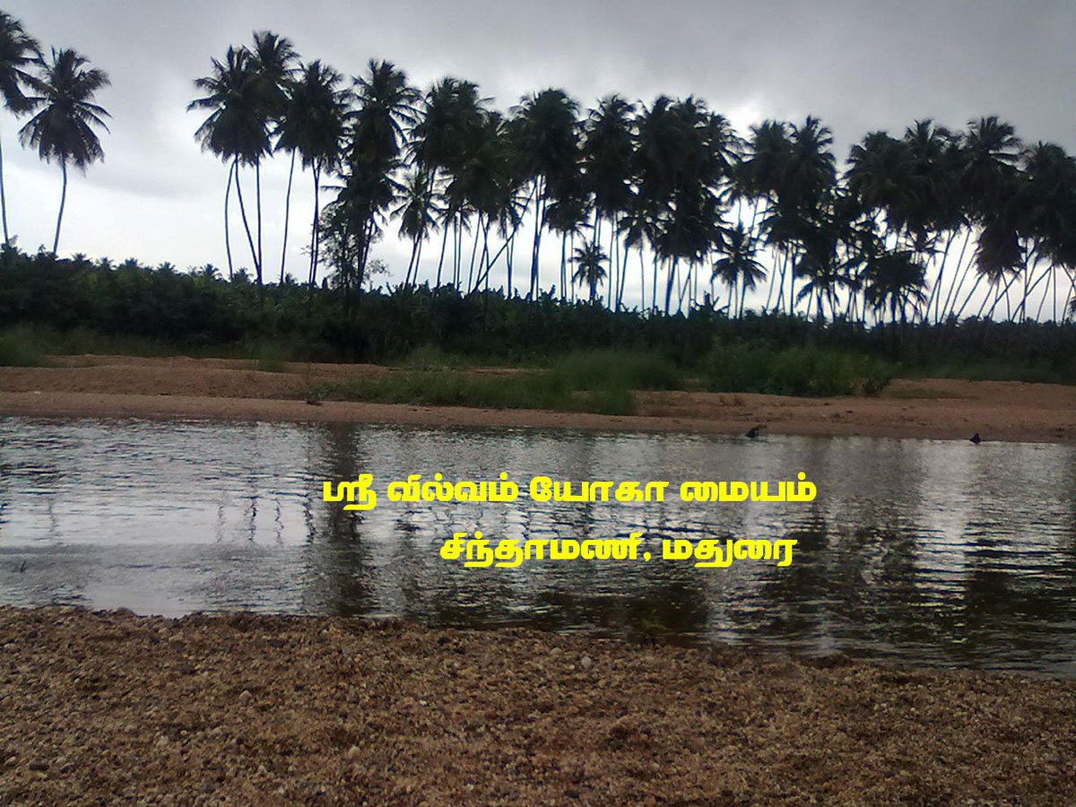 Sivasithan007's tweet photo. #சிவசித்தன் பலதவறான #தமிழ்எழுத்துக்களை #மாற்றி எழுத ஆரம்பித்துவிட்டேன்.அதை #பார்த்து #வாசித்து #திருத்தி #என்ஆன்மாக்கள்எழுதுவாய் #Sivasithan https://t.co/mmw0JeWiq4