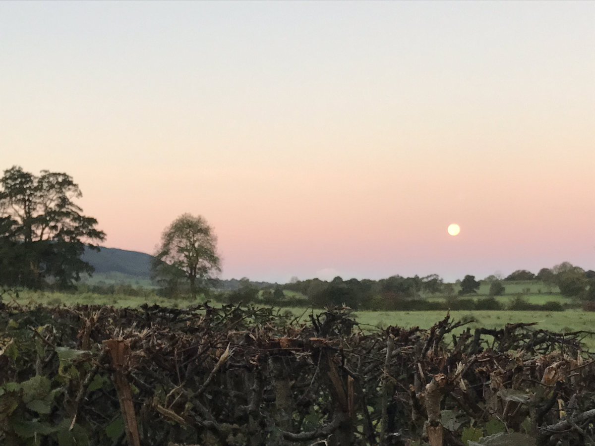 meltcandles's tweet image. Is there such a thing as "Moonset"? Well, whatever, .... it was 3 degrees and stunning!