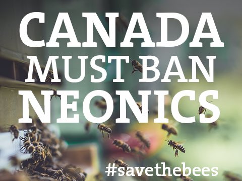 beeswixcandles's tweet photo. #savethebees 🐝 https://t.co/JchdGB9g4O