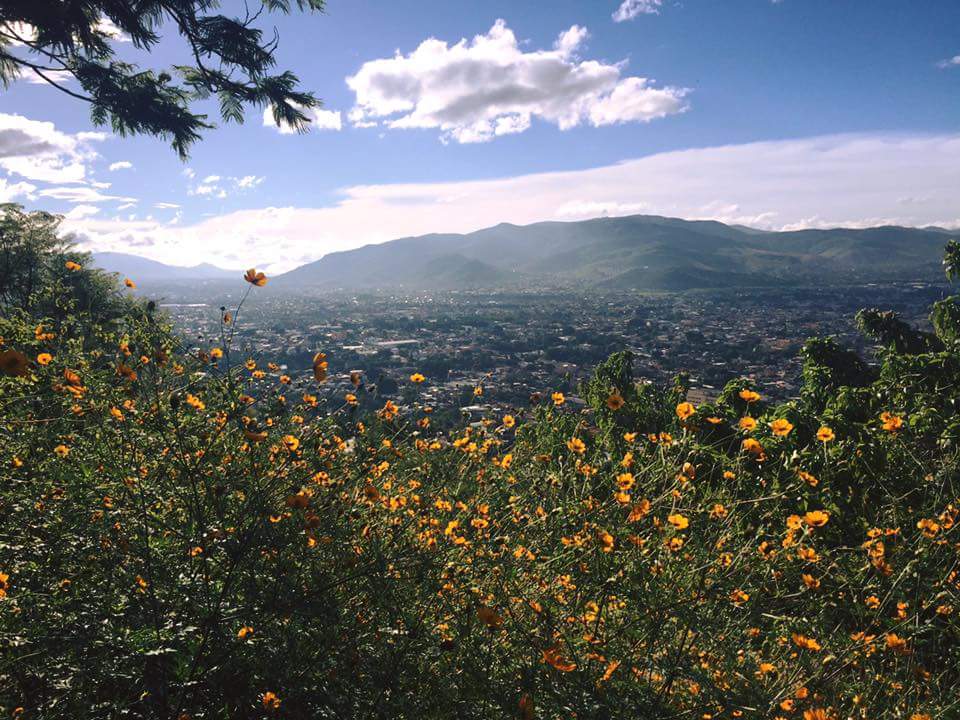 yazcharbeleon's tweet photo. #Oaxaca https://t.co/79IOFneXfX