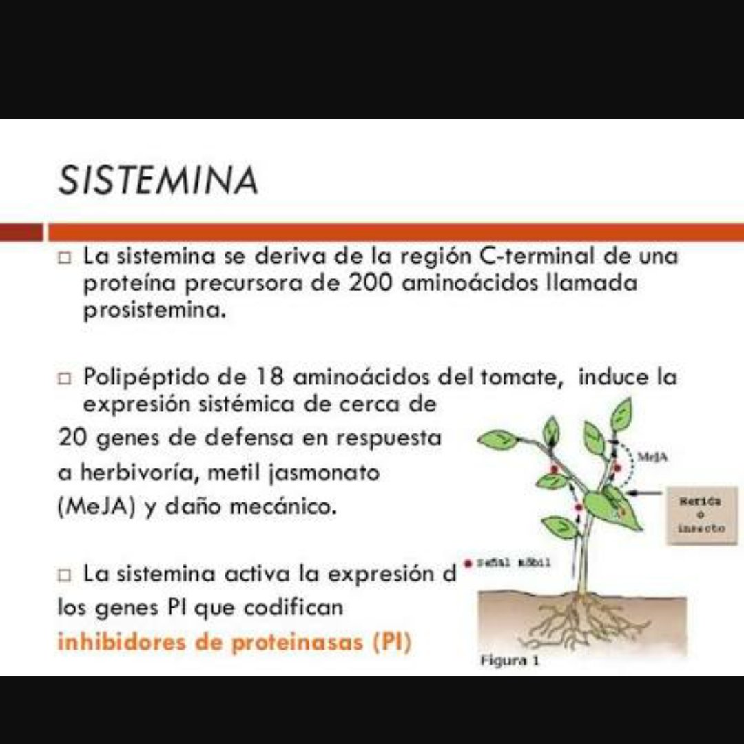 IgnacioGondel's tweet photo. Sistemina @agorajavier https://t.co/P3ZNuCdVs6