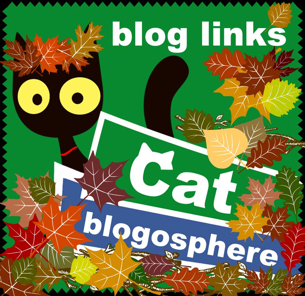 Friday 10/06 Blog Links - blog.catblogosphere.com/friday-1006-bl…