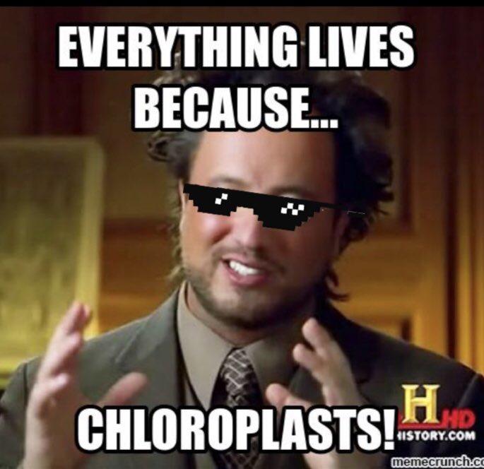 chlorogot2blast's tweet photo. #truth @allshookupbybio #organellewarsOlu https://t.co/Ao5v1CG9MV