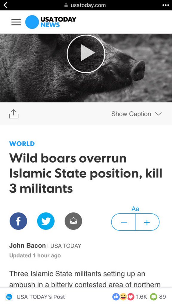 DLbXnuJUIAAKwXX.jpg:large