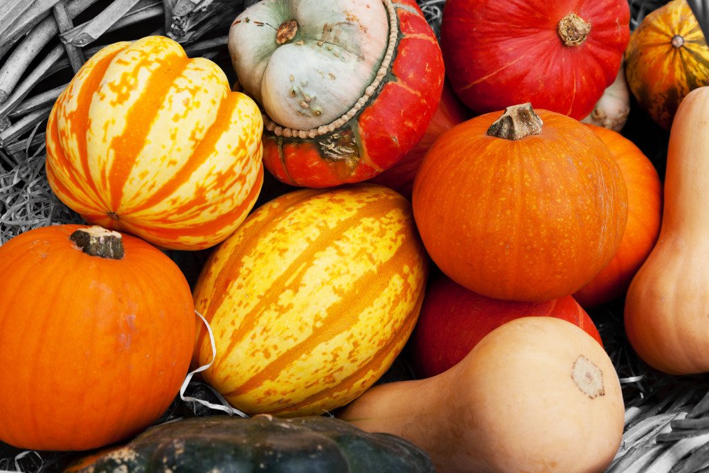 GennaCollins_'s tweet photo. Twelve Top Tips for Being Healthy On A Budget. https://t.co/MmQp79IImm https://t.co/MX7bownLeW