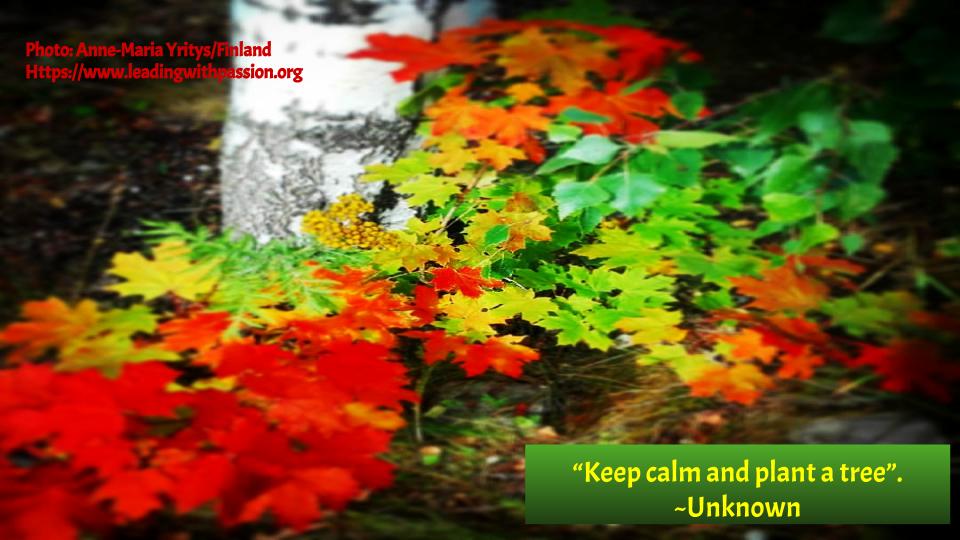 annemariayritys's tweet photo. "Keep calm &amp; plant a tree". ~Unknown https://t.co/MPVLDEnDkE #climatechange #climateaction https://t.co/Zu6RQzXYqp