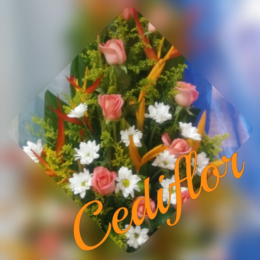cediflor's tweet photo. #blendercamera made by @loloapps https://t.co/ztC68ZuuAh