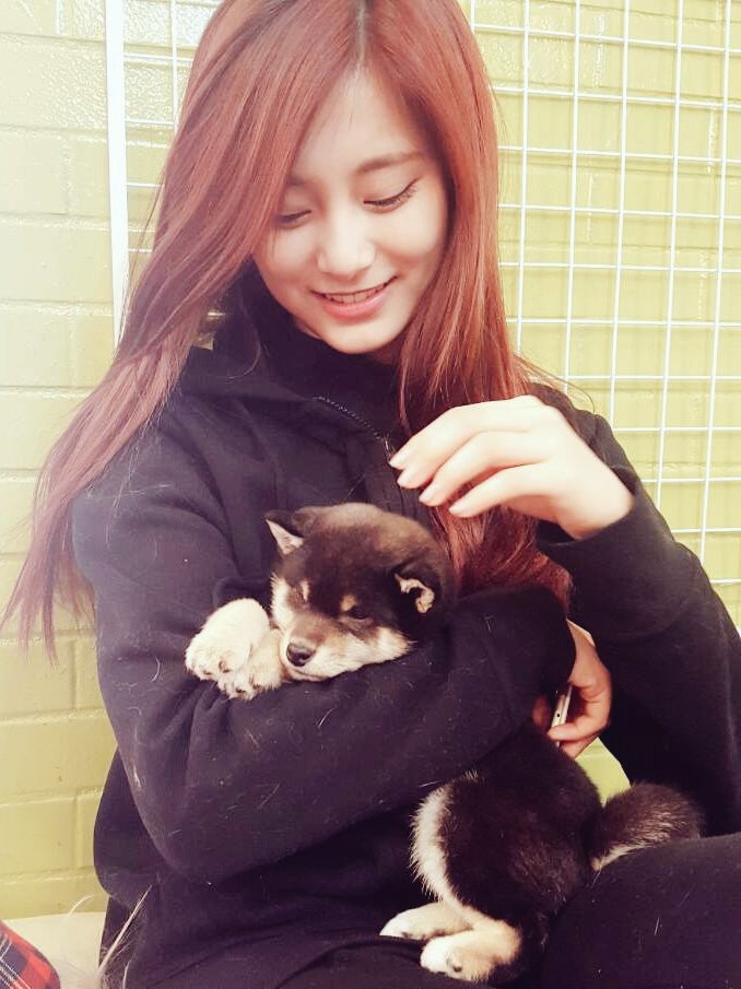 kpop_pup's tweet photo. #Tzuyu from #TWICE 's #love for #dogs is hecking pure! An amazing #performer and #dog_person! https://t.co/dTqWC685XN
