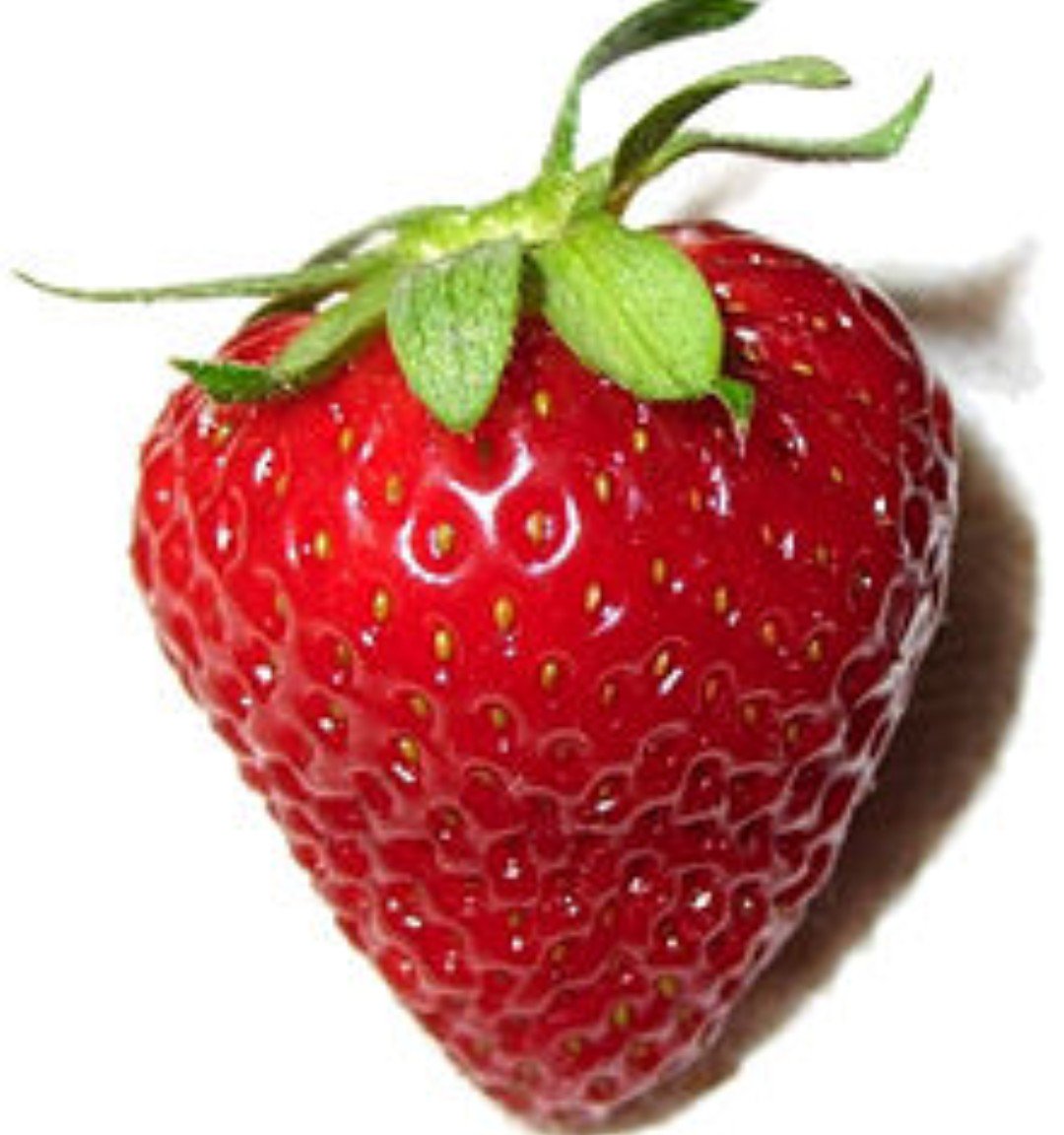 BiSmArCkDaViS's tweet photo. #HealthyLiving
#STRAWBERRIES
•Combat #Cancer
•Protect your #heart
•Boost memory
•#Calmstress
https://t.co/aYfdnf8NjL https://t.co/rWosli1zzp