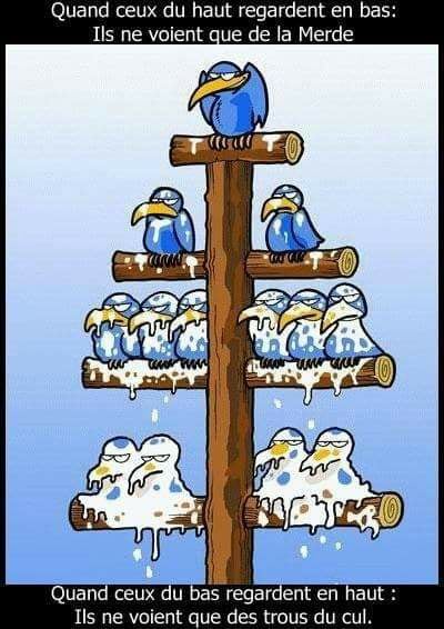 ClefJob's tweet photo. Humour de vendredi... Belle journée à vous ! #FF 😉 #ClefJob #Emploi #QVT #Bonheur #travail #Management #coaching #bienetre https://t.co/50zKEZwk9S