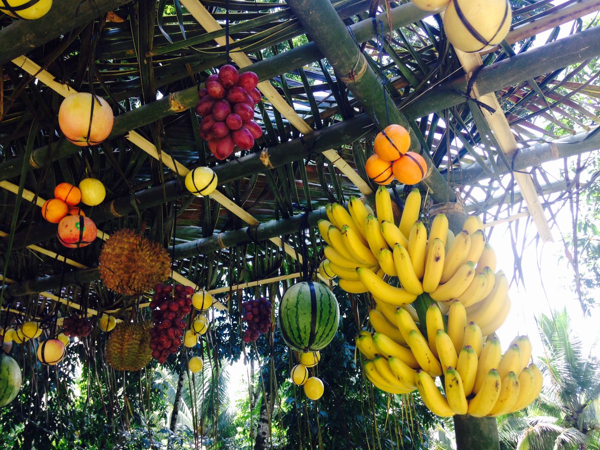 Bat Tziyon on Twitter: "Chag Ha Sukkot Sameach! #sukkot #tabernacles #feast #sukkah #tent #halleluyah #israel #hebrew #celebration… "