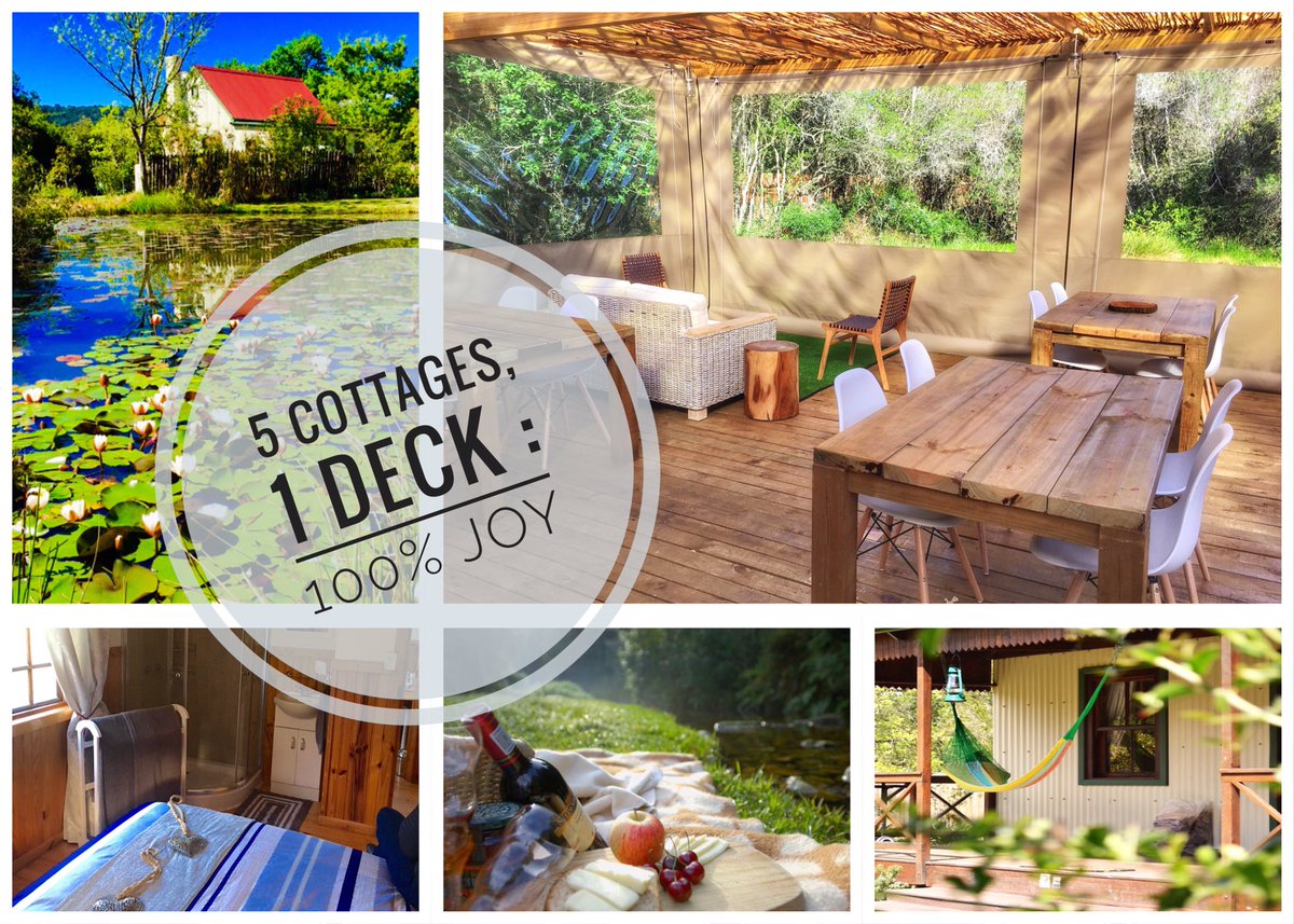 Forest_Edge tweet media