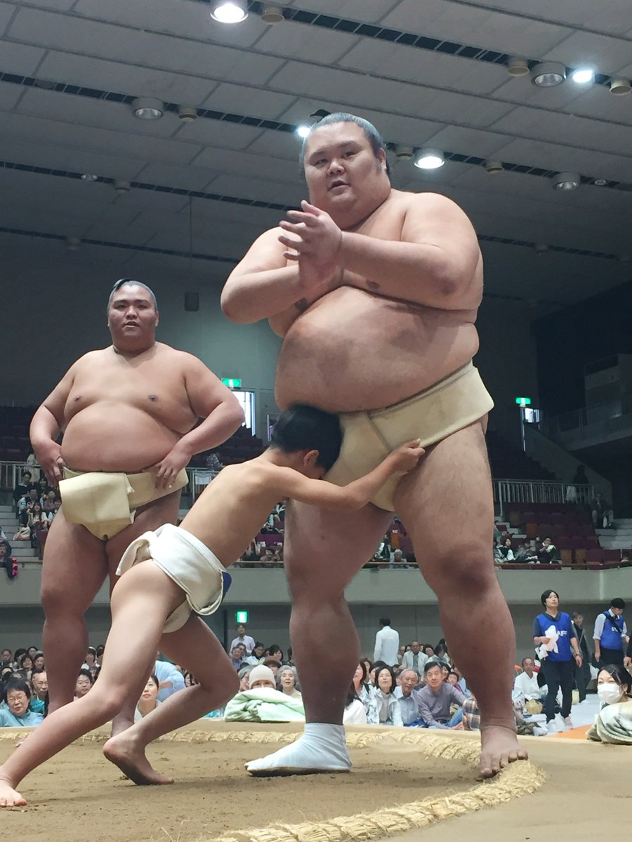 お相撲さんはバーサーカー？よく言う「お相撲さんの体は脂肪じゃ
