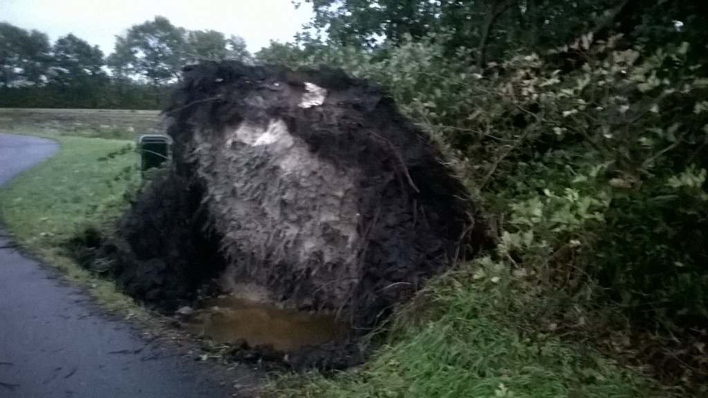 Quirin Smeele tweet media