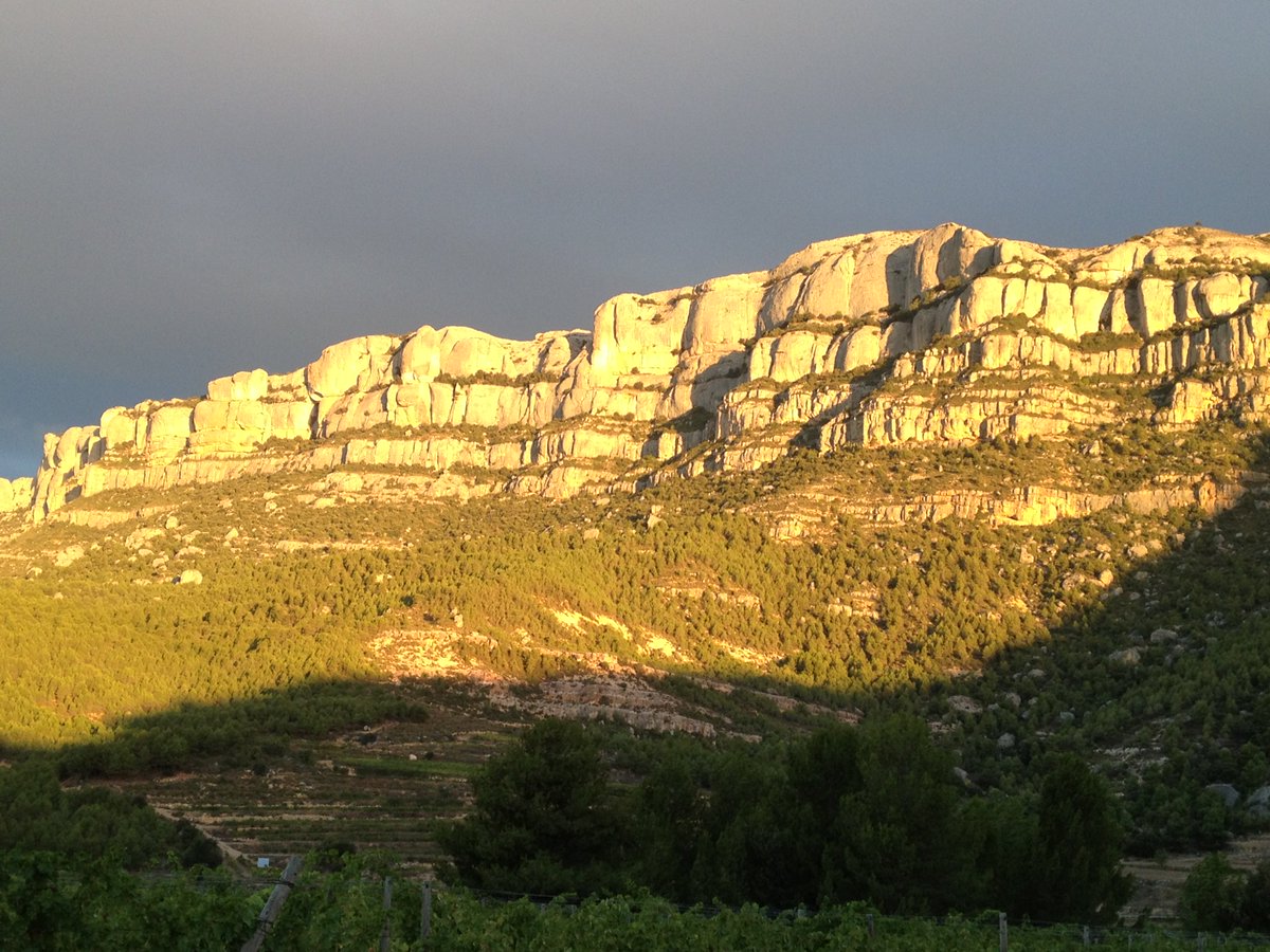 “Priorat- Montsant- Siurana”  enfila el camí cap Patrimoni Mundial de la UNESCO radiofalset.cat/index.php/info…