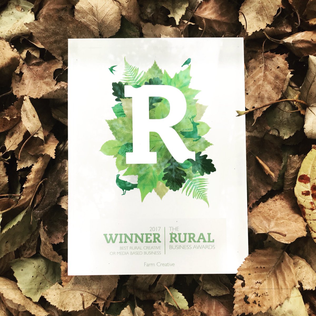 HelenAtFarm's tweet image. Last nights @RuralRBAs was amazing &amp;amp; we won! Best National Rural Creative Business 🎉🎊🎉 so chuffed #ruralmarketing