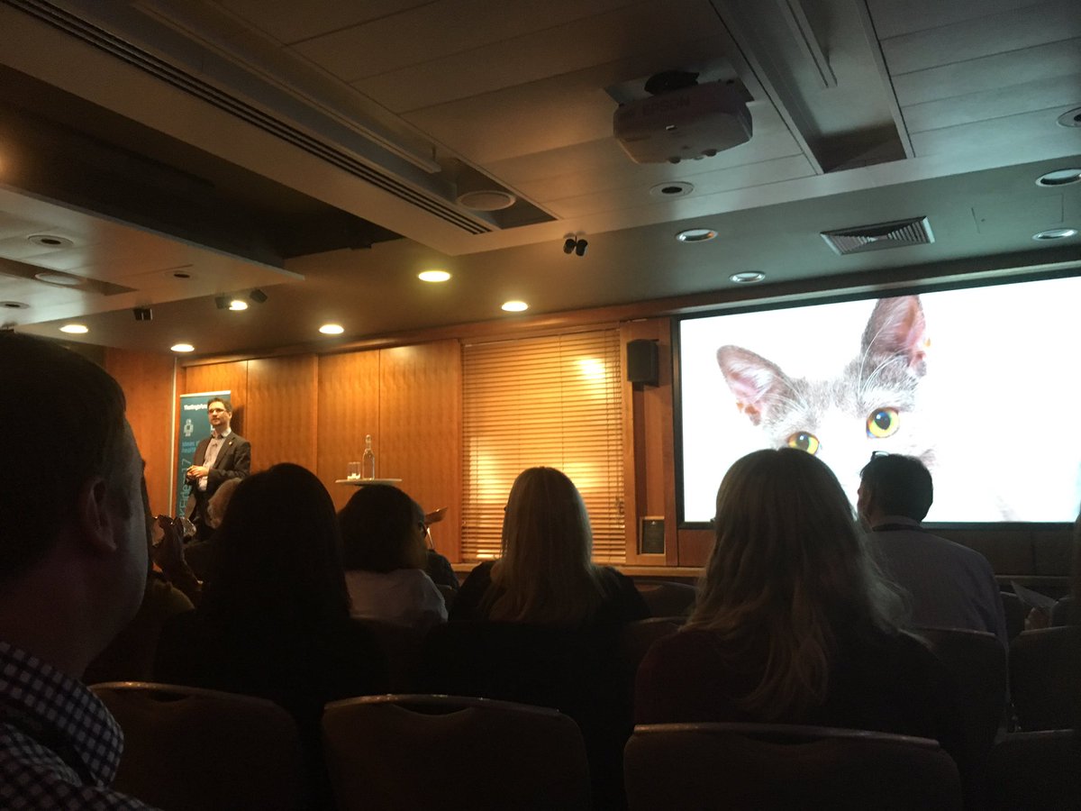 cleomwilliamson's tweet photo. CAT 🐱 - computer adaptive testing) - use of artificial intelligence to pick best Q to get most info from patients #KFideas17 https://t.co/WeajGJyXPs