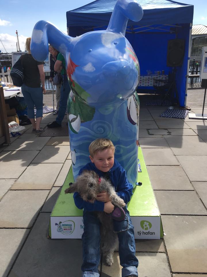 HusQuay the Merdog tweet media