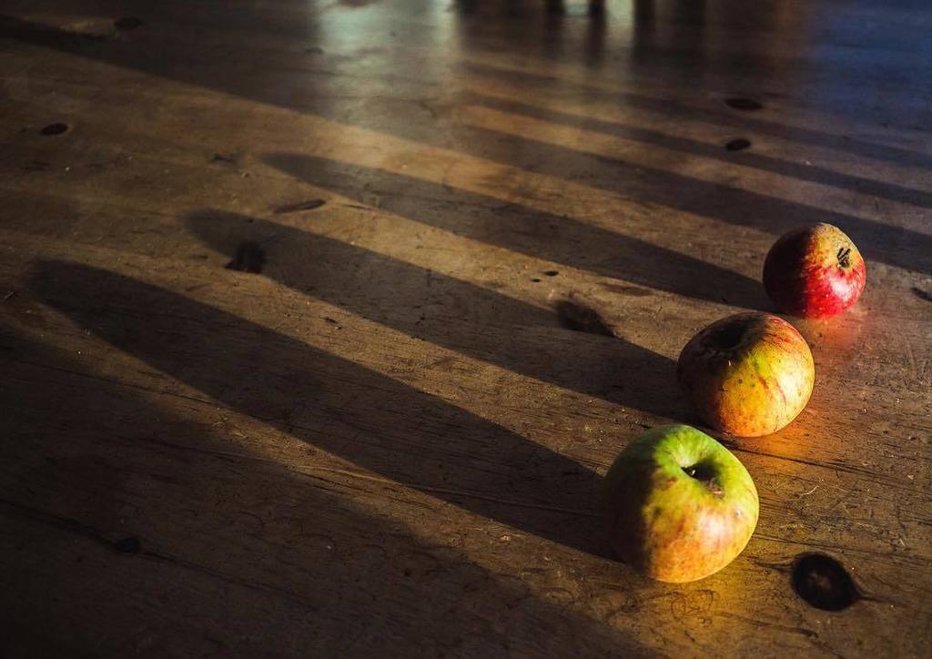 EAllistone's tweet photo. Autumn shadows ๐โ๏ธ๐ #autumnshadows #capturingbritain #stayabstract #abstractphoto #abstractphotography #applesofinstagram https://t.co/6U3RoyQpgm