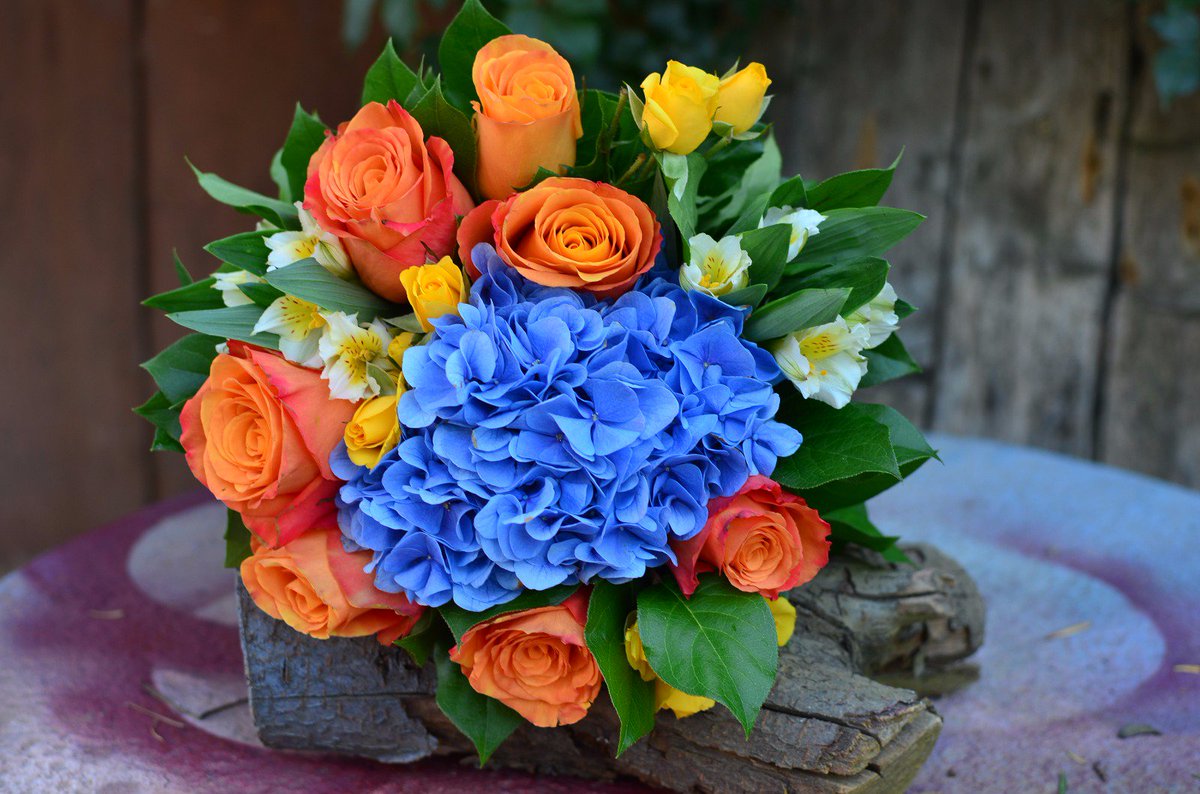 FloriaRo's tweet photo. ⚡️ “Concurs - Premii pentru batai de inimi” 06.10.2017-06.11.2017 #TwitterMoments #FloriaOnline #WeLoveFlowers
https://t.co/DTyPgrfCML https://t.co/3m7p1eeni9