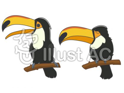 オオクチバシ Twitter Search Twitter