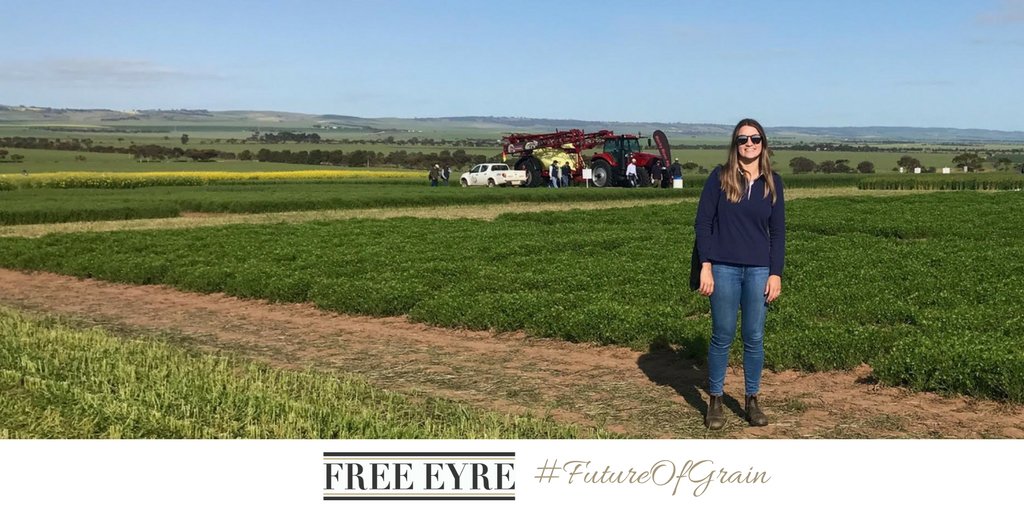 FreeEyreLtd's tweet photo. โDry matter cuts have been a focus for me at the #MinnipaResearchCentre..." Rochelle's #FutureOfGrain notes: https://t.co/XvD9CgUDAM https://t.co/vPlzZZnNyH