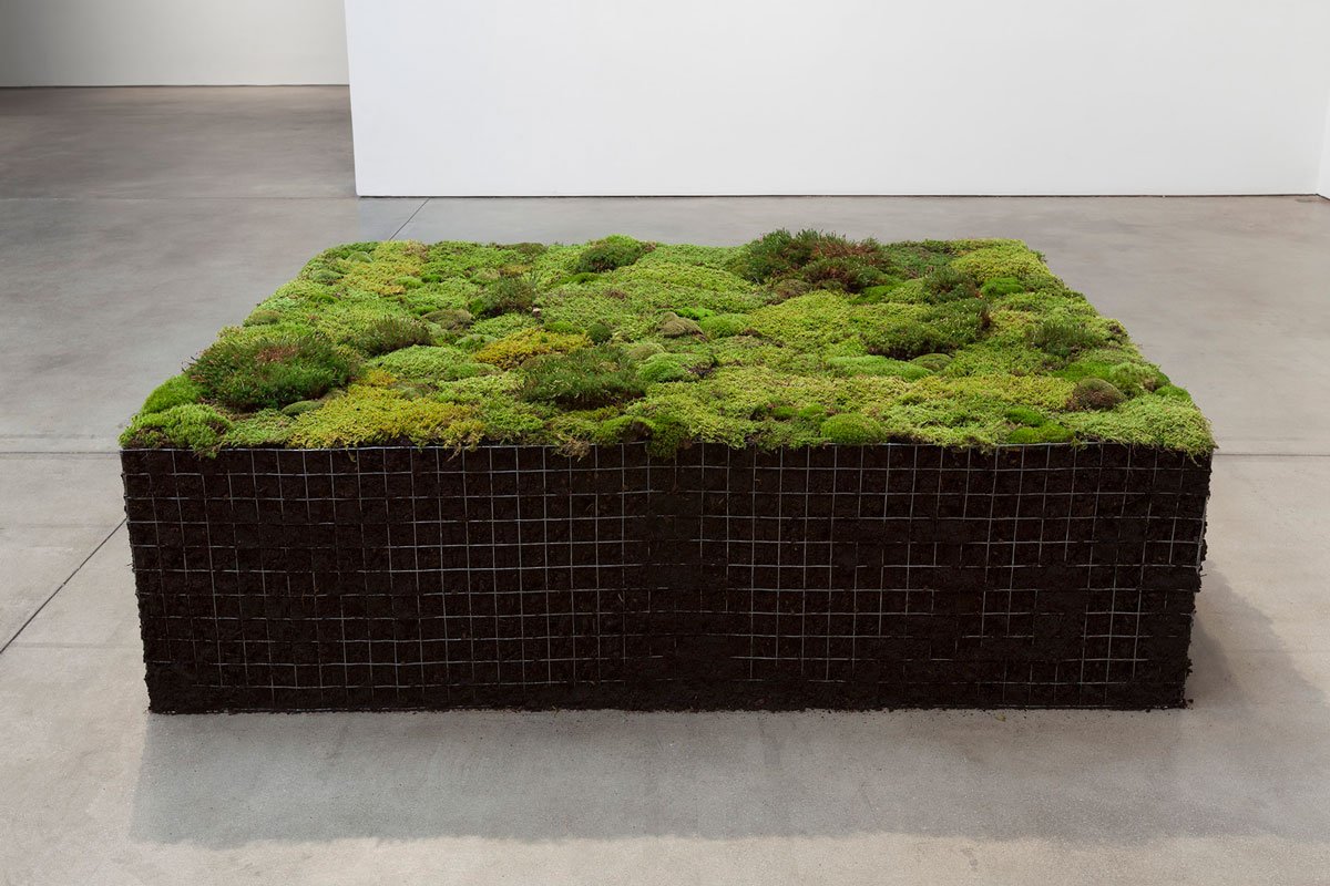 meldcc's tweet photo. #megwebster #americanartist #organicsculptures #art #climate #climatechange #OptOutside #climateaction #ActOnClimate #nature #environment https://t.co/6VWyqzLf3M