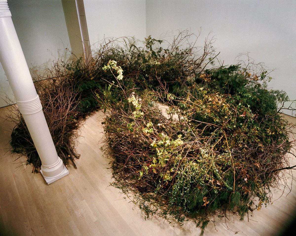 meldcc's tweet photo. #megwebster #americanartist #organicsculptures #art #climate #climatechange #OptOutside #climateaction #ActOnClimate #nature #environment https://t.co/PalsPXTOLx