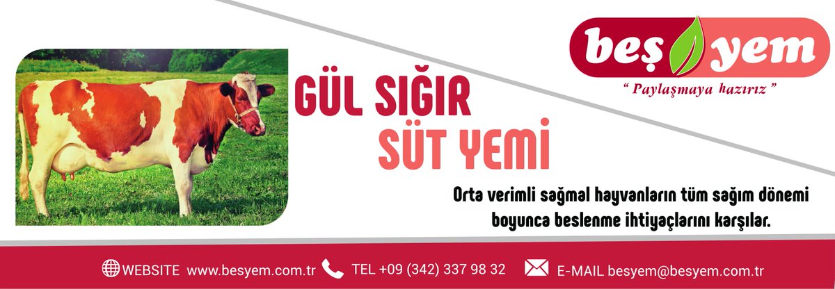 Gül Sığır Süt Yemi #besyem