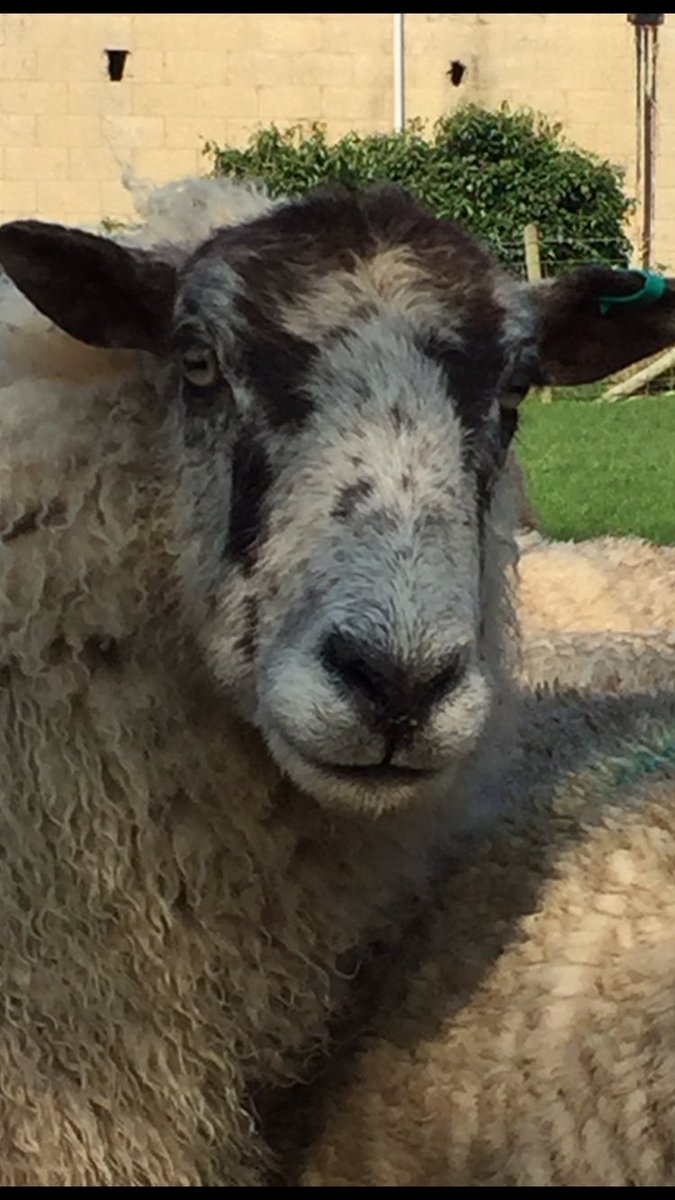 Heading home after the @RuralRBAs great night now time to get back to real life @RuralRootsPR