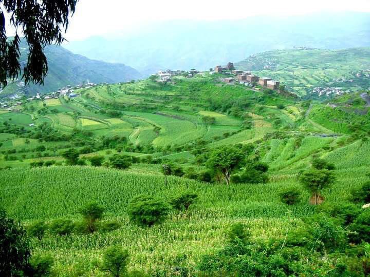 ياغصن لابس قميص اخضر وطاس اطلس 
وسط الخميله تنوس ياعودنواسي
#قروب_صنعاء_اليمن 
❤️🇾🇪
#قروب_بنات_اليمن
#هويه_اليمن