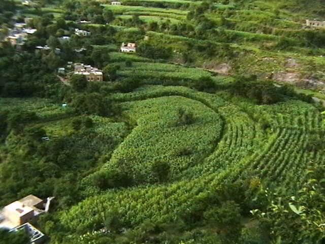 وكل هاوي غرس في جنتك مغرس 
ونغمتك بلبليه فوق مغراسي 

#قروب_صنعاء_اليمن 
#قروب_بنات_اليمن
#هويه_اليمن