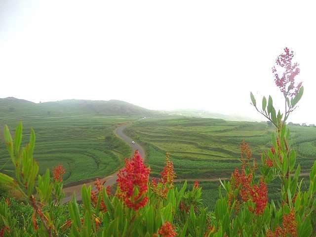 يقولوا انساك وكيف انسى فؤادي بس
حبك بعقلي جلس سيطر على احساسي
عن #إبّ أتحدث ❤️🇾🇪
#قروب_صنعاء_اليمن 
#قروب_بنات_اليمن
#هويه_اليمن