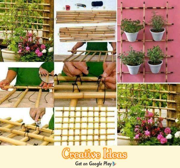 DailyIdeasApp's tweet photo. Vertical Garden Idea!! https://t.co/LqaGEfJzFP