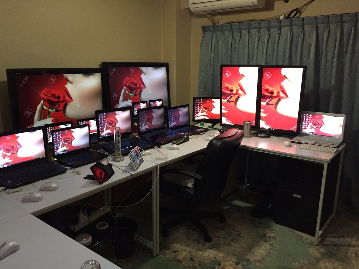 ꧁スカーレット緋色꧂36K🦩 tweet media