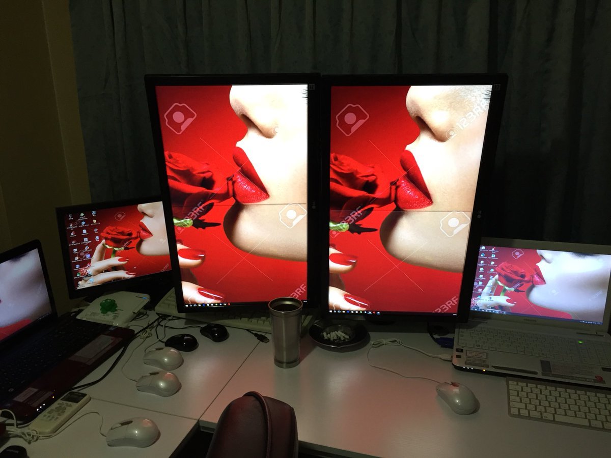 ꧁スカーレット緋色꧂36K🦩 tweet media