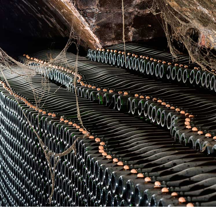 Xavier Gramona y Linda Díaz dirigirán en #ssg17 una Cata vertical con algunas de las mejores añadas de <a href="/CavasGramona/">Cavas Gramona</a> ow.ly/nNpd30fGnTh