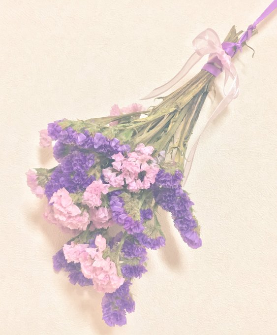 スターチスのtwitterイラスト検索結果 古い順 スターチスのtwitterイラスト検索結果 古い順