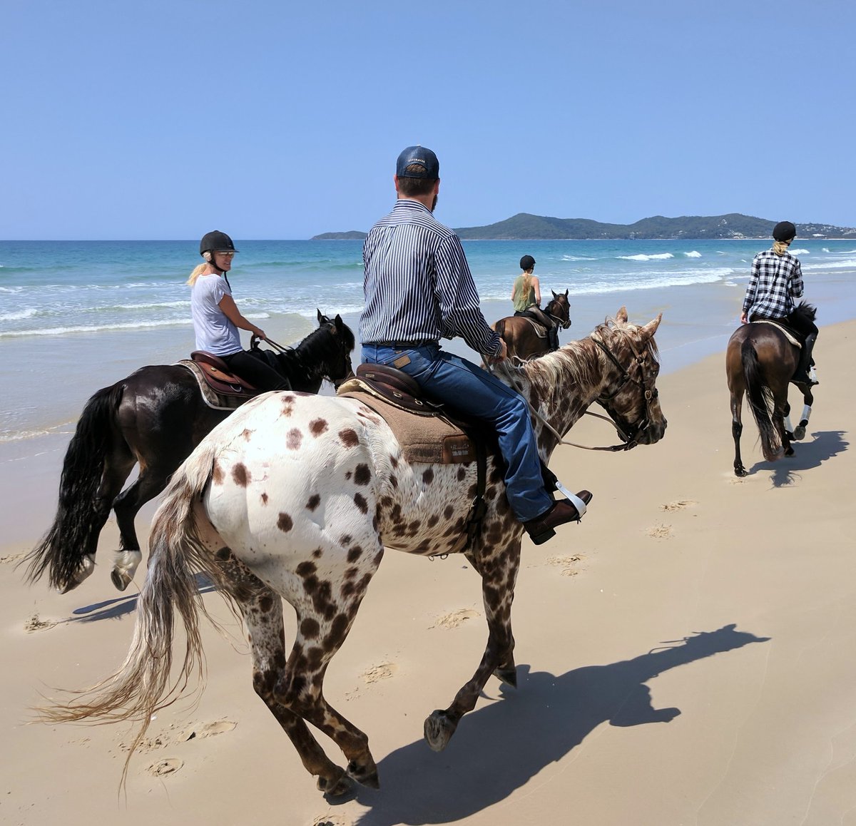 noosahorses's tweet photo. Still seeing whales in the bay. #lovenoosa https://t.co/c9Ji0xePIT