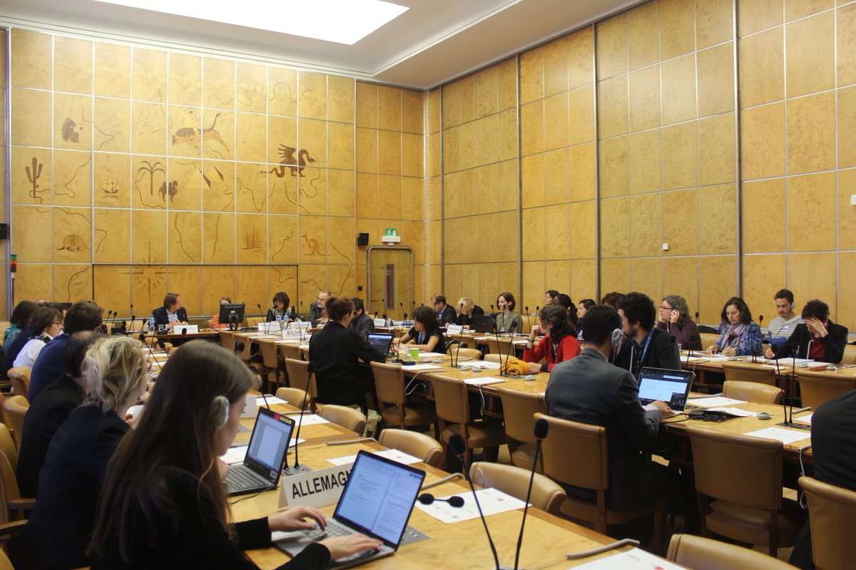 Ongoing today <a href="/UNGeneva/">United Nations Geneva</a>: our expert seminar on #righttofood sovereignty &amp; other collective #peasantsrights w/@BoliviaONUGva <a href="/swiss_un/">SwitzerlandUN</a>