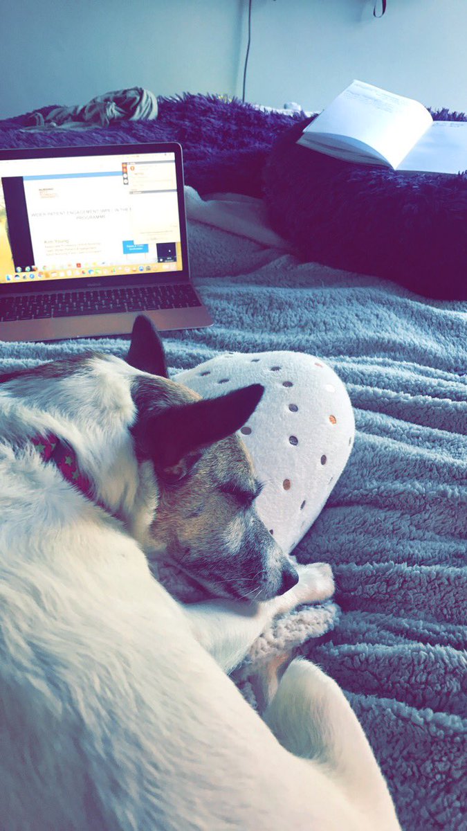 #NRS403 logged in and joining the webinar with my study buddy!