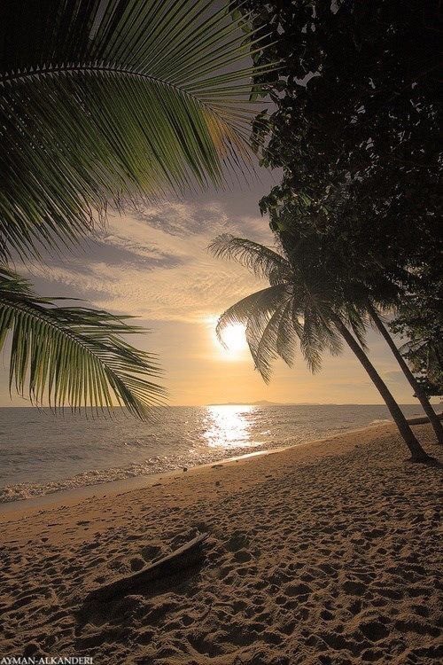 Be careful..!!!
Not all are what they seem.
Some people pretend to be the beach....but they’re actually quicksand.🌵🎍🌵