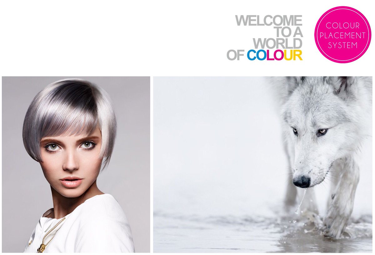 colourplacement's tweet photo. CPS & 1StepColour stand S164 @ Salon International London 2017 #colourplacement #colour #1stepcolour #hairdresser #bleachwithplex 10 https://t.co/xVekeQWIw2
